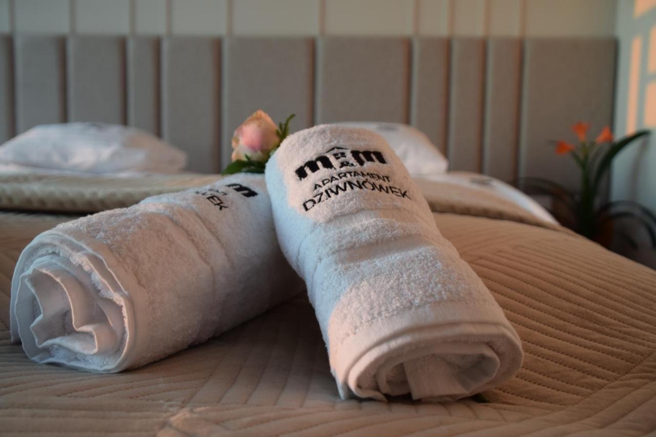 M&M Apartament دجيفنوفيك المظهر الخارجي الصورة